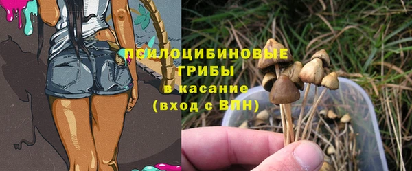 кристаллы Арсеньев